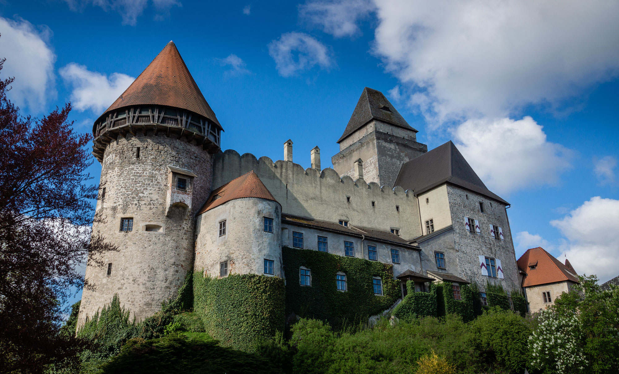 Burg Heidenreichstein